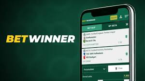 Comprehensive Review of Betwinner Betting Platform 2092511564