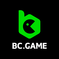 BC.Game India A Comprehensive Guide to Online Gaming